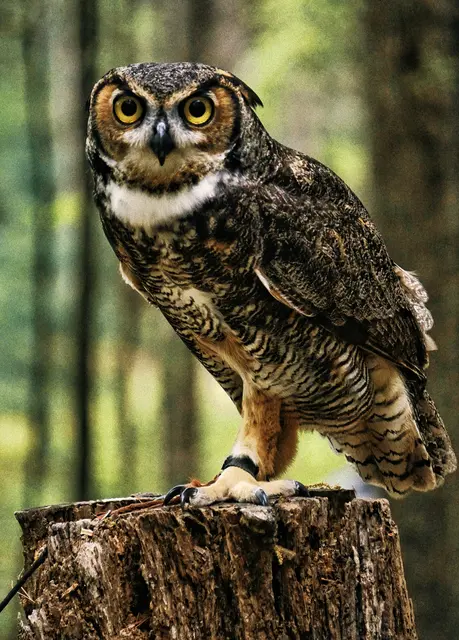 Foto: Foto:Sonder Quest(Unsplash)