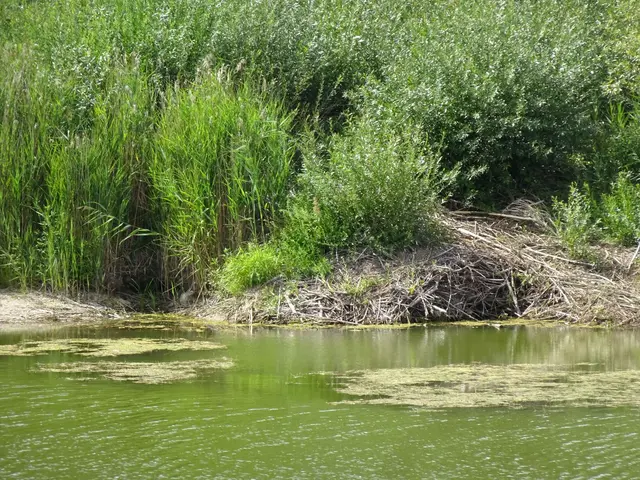 Der Bibereingang nun nicht mehr unter Wasser !!!!!!!