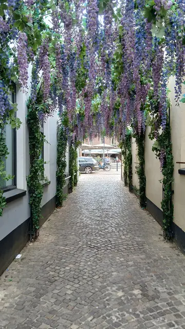 Verbindungsweg/Gasse von Ortsmitte zur Maas. | Foto: Siegmund Walter, 07.08.2026, 13:27 Uhr