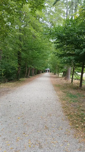 Parkweg in Arcen | Foto: Siegmund Walter, 07.08.2026