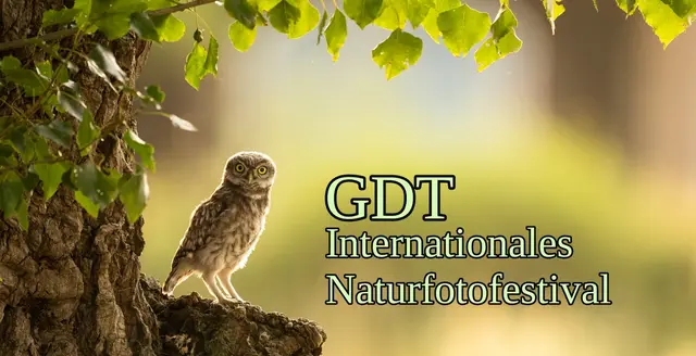 GDT-Regionalgruppe 12 (hier: Sgro Alessandro) | Deutschland | Das Rheinland – Grenzenlos und voller Lebensadern | The Rhineland – Boundless and Full of Lifelines | Foto: GDT - Sgro Alessandro