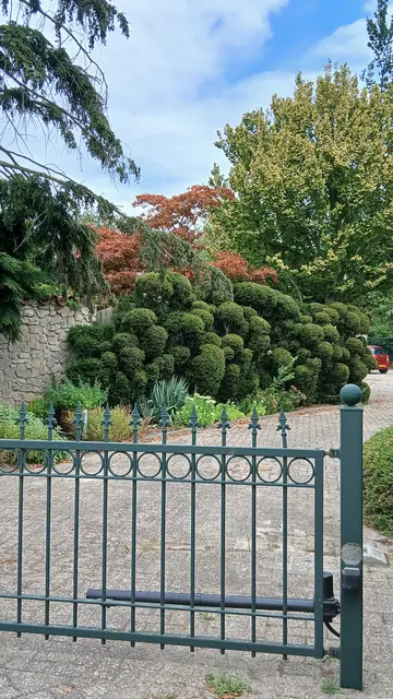 Blick über den Gartenzaun in Arcen (NL) | Foto: Siegmund Walter, 07.08.2026