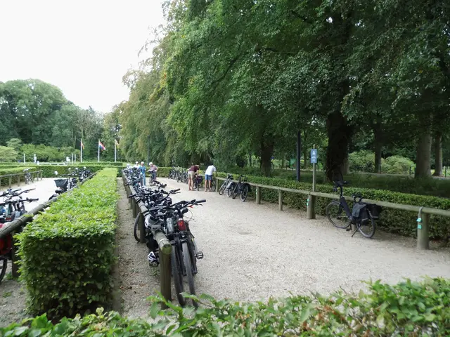Fahrradabstellplatz in Arcen (NL) in Ortsrandlage. | Foto: Siegmund Walter, 07.08.2026