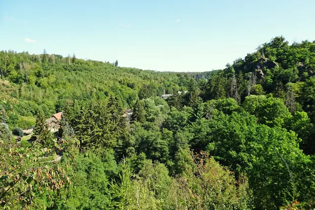 Blick von der Schönsicht, Mitte das Selketal, rechts das Lange Tal