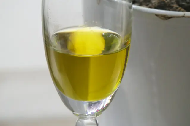 Das neue "Grüne Gold" in der Küche? (Olivenöl)