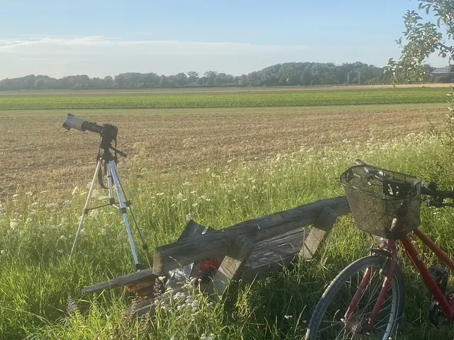 Hier im Oberdorf habe ich es versucht