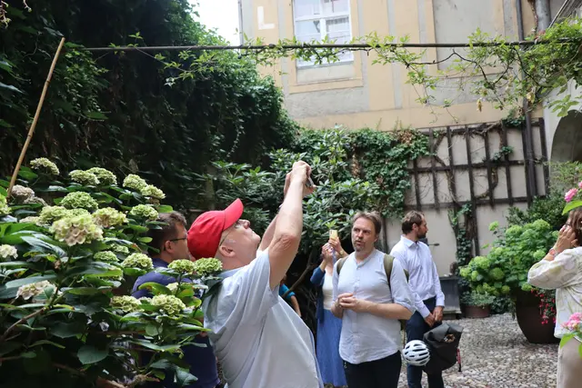 Foto: Marianne Stenglein