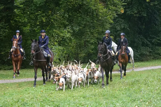 Der Schleppjagdverein von Bayern  mit seiner Hundemeute. | Foto: Erich Echter