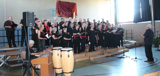 Der Kammerchor Friedberg beim Konzert in Aindling | Foto: Josef Schwab 