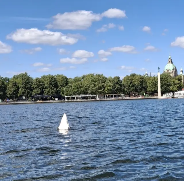 Ungeheuer vom Maschsee | Foto: Winfried Gehrke