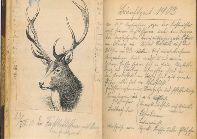 Erlebtes in der Brunftzeit 1903