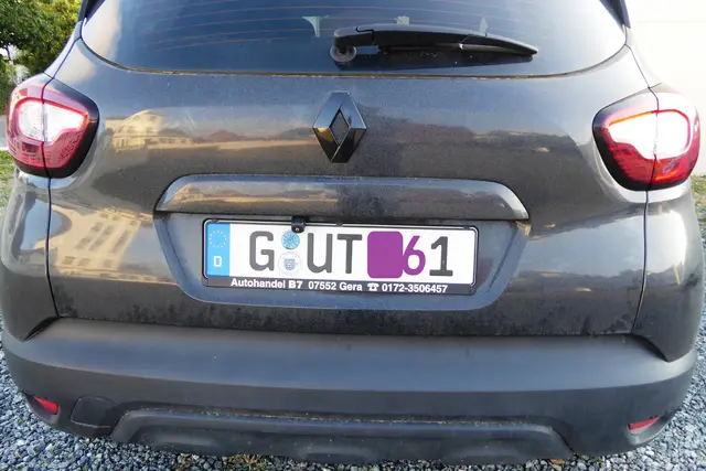 Gut.