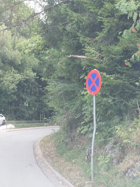 Hubertusstraße/Oberammergau/Landkreis Garmisch-Partenkirchen/Bayern, VZ 283 (absolutes Haltverbot) | Foto: Roland Trinkner