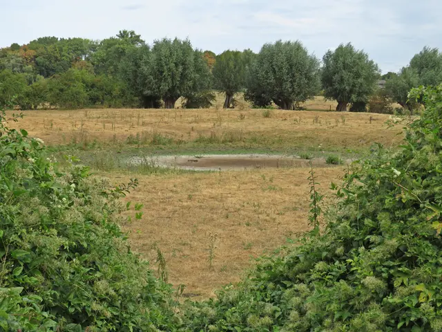 Bild 1 Kolk bei Rindern | Foto: GvMeegen