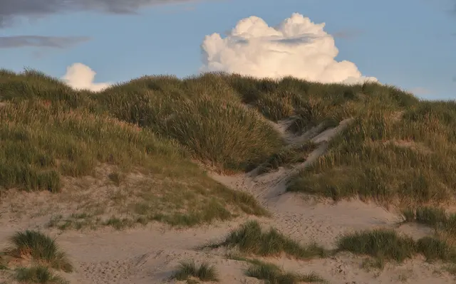 An der Nordsee in Jütland, Dänemark