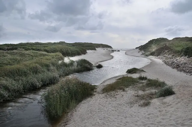An der Nordsee in Jütland, Dänemark
