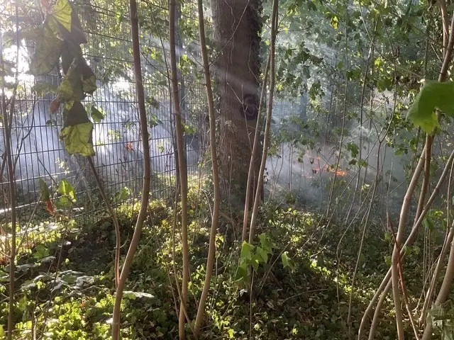 Vegetationsbrand im Bereich der Sportanlage Schürenkamp in Gelsenkirchen | Foto: Feuerwehr Gelsenkirchen