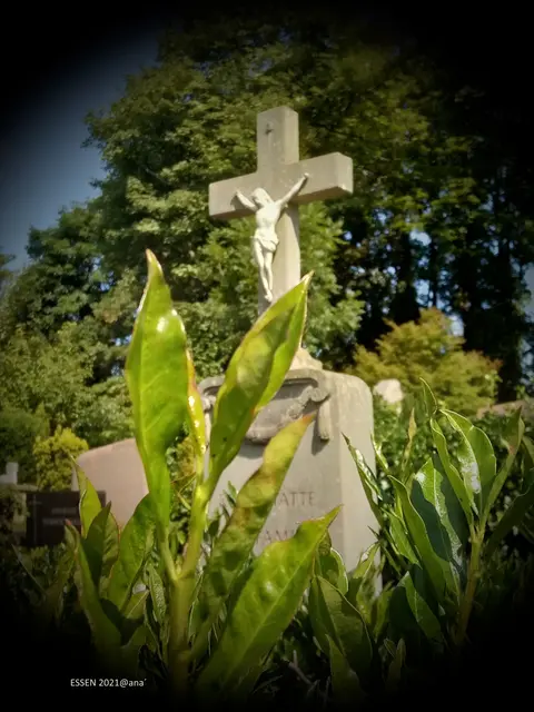 KREUZ