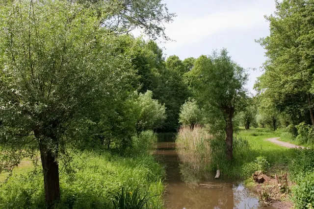 Diese Aufnahme und das nächste Bild zeigen den Biegerpark mit unberühter Natur und vielen Erholungsmöglichkeiten.
Archivfoto: Stadt Duisburg