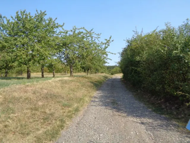 Streuobstwiese beim Silberthal