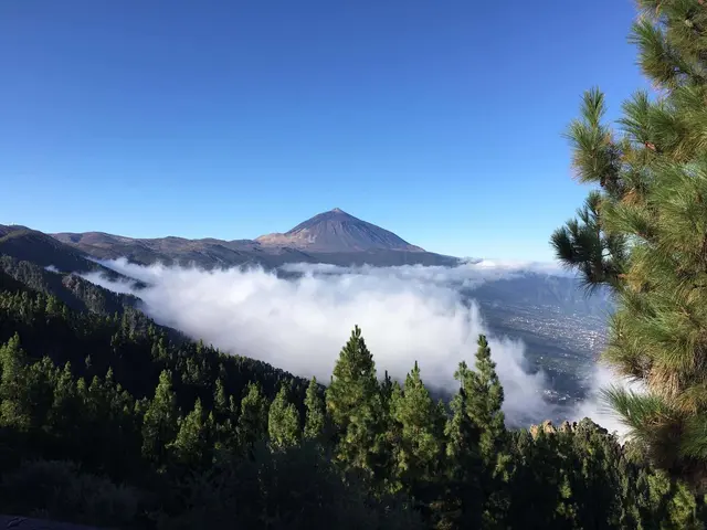Der Teide -  mit 7500 m Höhe über dem Meeresboden ist er dritthöchste Inselvulkan der Erde
