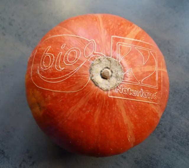 Der rote Hokkaido-Kürbis trägt eine schonende Lasermarkierung mit den Logos von "Bio" und "Naturland" auf der Schale.
Durchmesser = 14 cm 
Gewicht = 0,990 Kg | Foto: Siegmund Walter, 20.08.2026, 19:35 Uhr