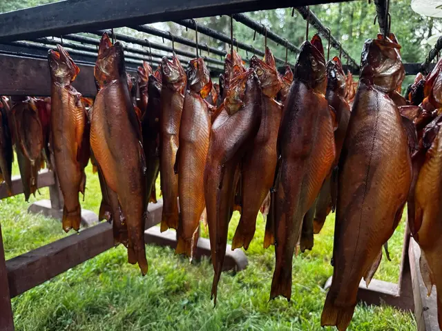 Foto: Fischereiverein Meitingen