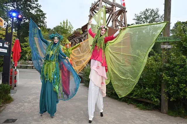 Walk Acts von Art Tremondo