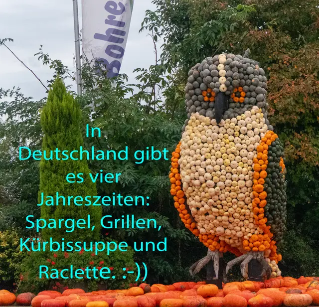 Kürbisausstellung auf dem Bohrerhof (Hartheim)