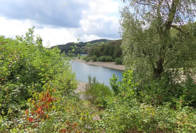 Spätsommerglück am Hennestausee / Sauerland