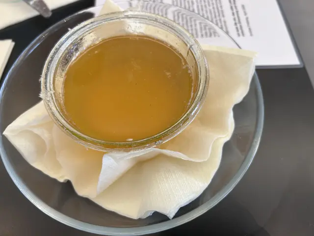 Den entstandenen Tropfhonig konnten wir probieren. 