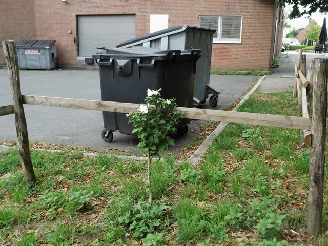 Ein Bild/Foto, das die bittere Enttäuschung einer urbanen Randzone einfängt, am Ende des Dorotheenwegs am Dorotheenpark in Wesel-Feldmark, der jede Lebensfreude im Keim erstickt. | Foto: Siegmund Walter, 26.08.2026, 11:28 Uhr