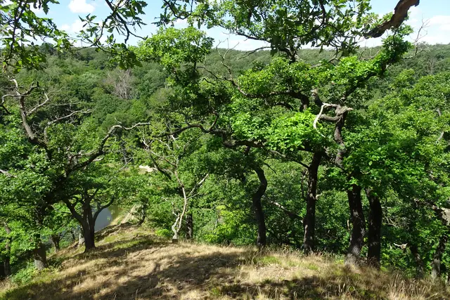 Blick von der Hubertushöhe ins Siebersteinstal mit dem Kleinem Siebersteinsteich