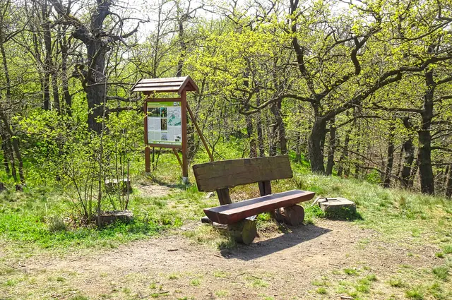Ruhebank mit Infotafel an der Hubertushöhe