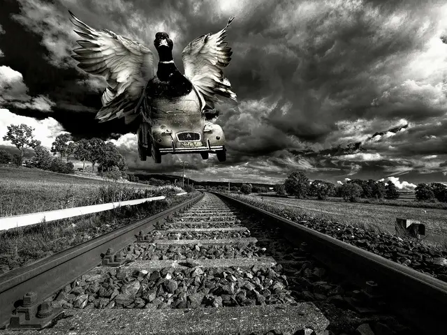Foto Pixabay. 
