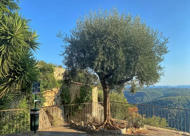 Saint-Cézaire-sur-Siagne | Foto: c Margot Klütsch