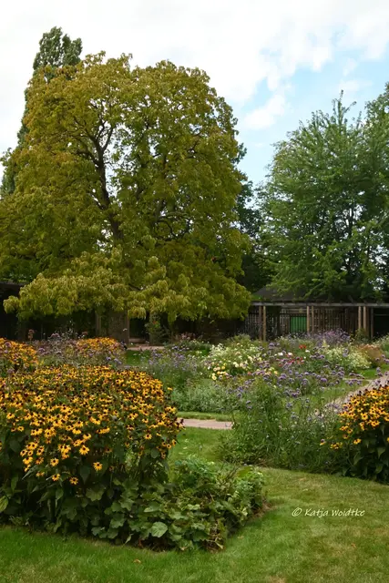 Stadtpark Hannover