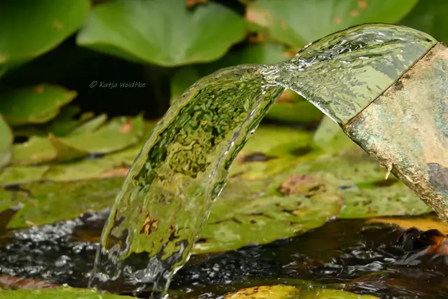 Wasserspiel Stadtpark Hannover