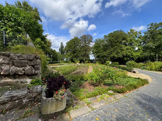 Blick in den Rosengarten im Schlosspark. Allerdings ist die Rosenblüte fast vorbei.
