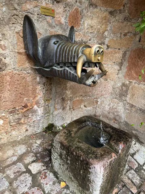 Der Saukopfbrunnen am Schlossaufgang. Einer der 17 Trinkwasserbrunnen Marburgs.