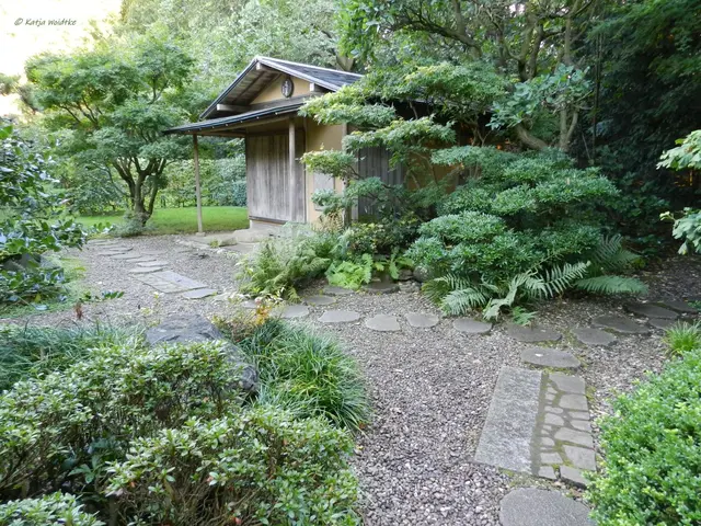 Japanischer Teegarten Stadtpark Hannover