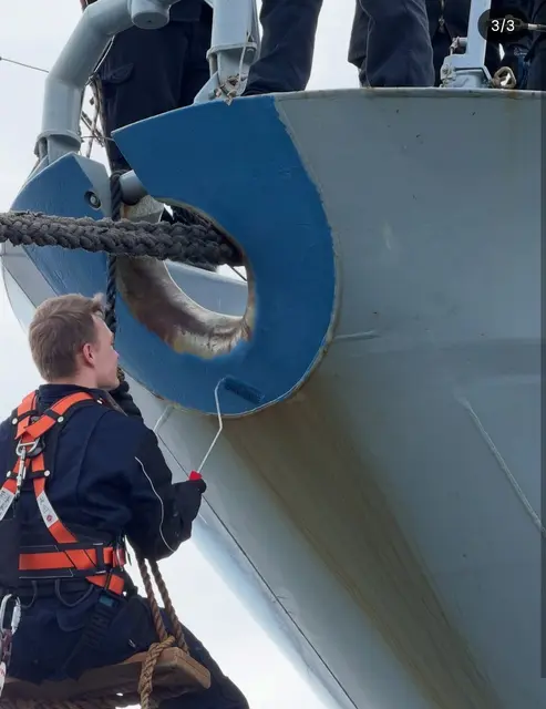 Der dienstjüngste Offizier der Fregatte BRANDENBURG beim Pönen der Bugspitze. | Foto: Deutsche Marine