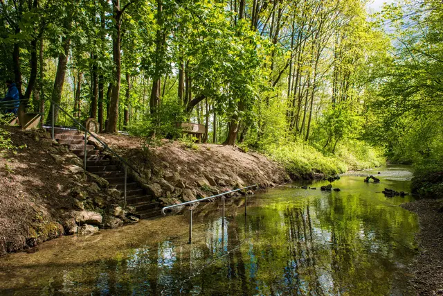 Auwald Naturkneipp-Anlage  | Foto: Jan Koenen