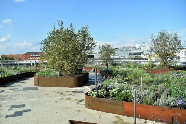 Die neuen City Roof Walks auf dem Dach des Parkhauses Schmiedestraße