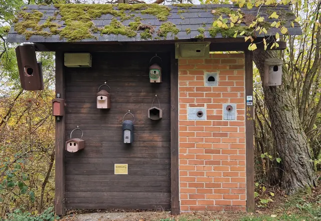 Erneuerung des Naturlehrpfades Vogellehrpfad an der Goldseite in Hatzfeld 2025 Nistkastenwand : Diese zeigt verschiedene
Nisthilfen für Vögel, wie z.B. Meisen, Mauersegler, Wasseramsel, Baumläufer, Waldkauz oder auch
Fledermäuse.
