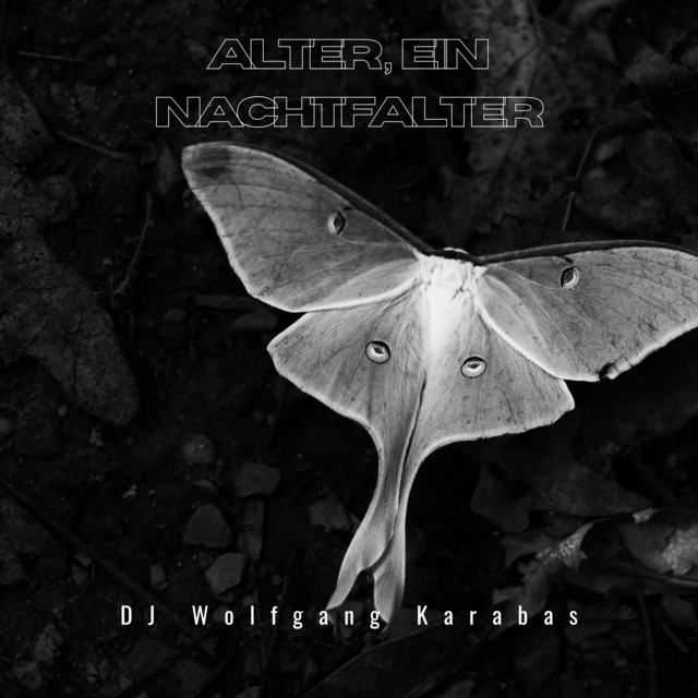Der neue Track "Alter, ein Nachtfalter" von DJ Wolfgang Karabas hat alle Chancen dazu den Charts-Höhenflug des Hybrid-Musikers fortzusetzen.  | Foto: Wolfgang Karabas