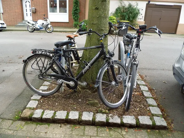 Fahrräder im Baumbeet, wo einst Blumen blühten. | Foto: Siegmund Walter, 05.09.2026,15:16 Uhr