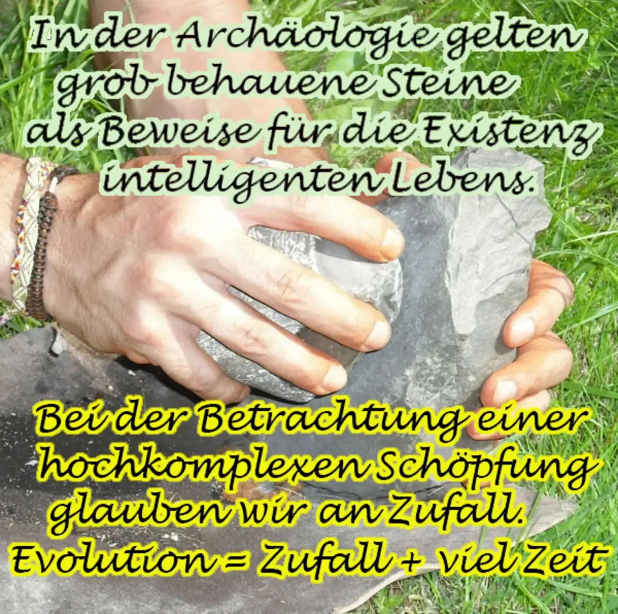 Schöpfung oder Evolution: Wie lange dauerte die Evolution der Eintagsfliegen?