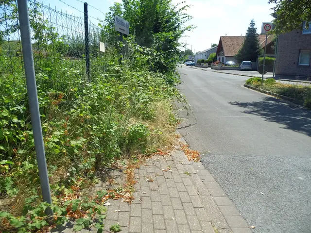 Foto: Siegmund Walter, 21.07.2026, 13:20 Uhr
