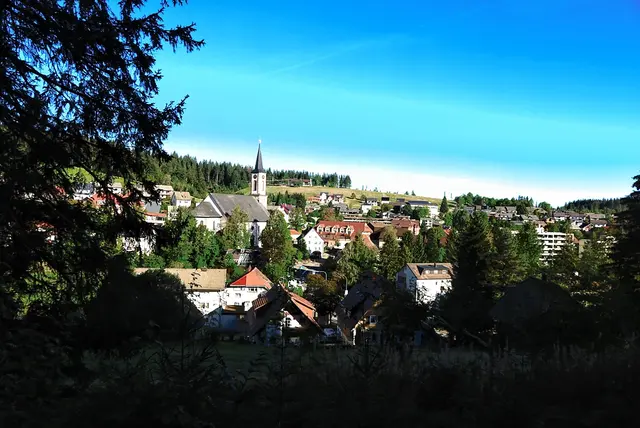 Schönwald
